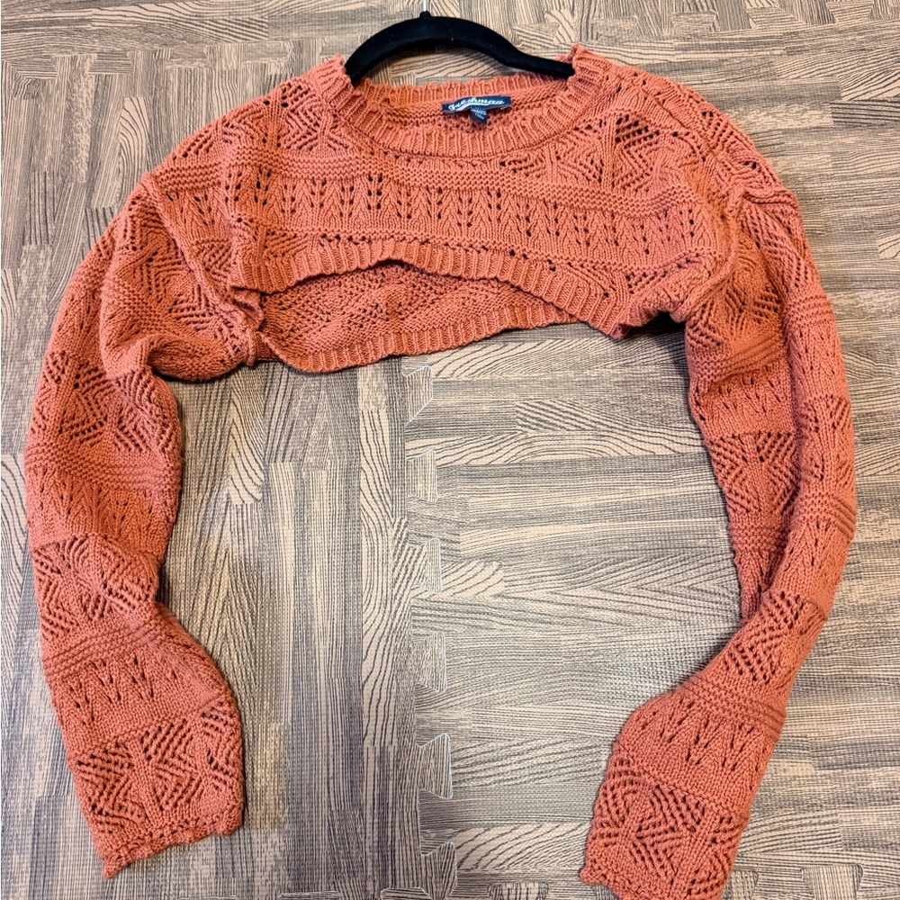 Freshman Terracotta Cropped Sweater